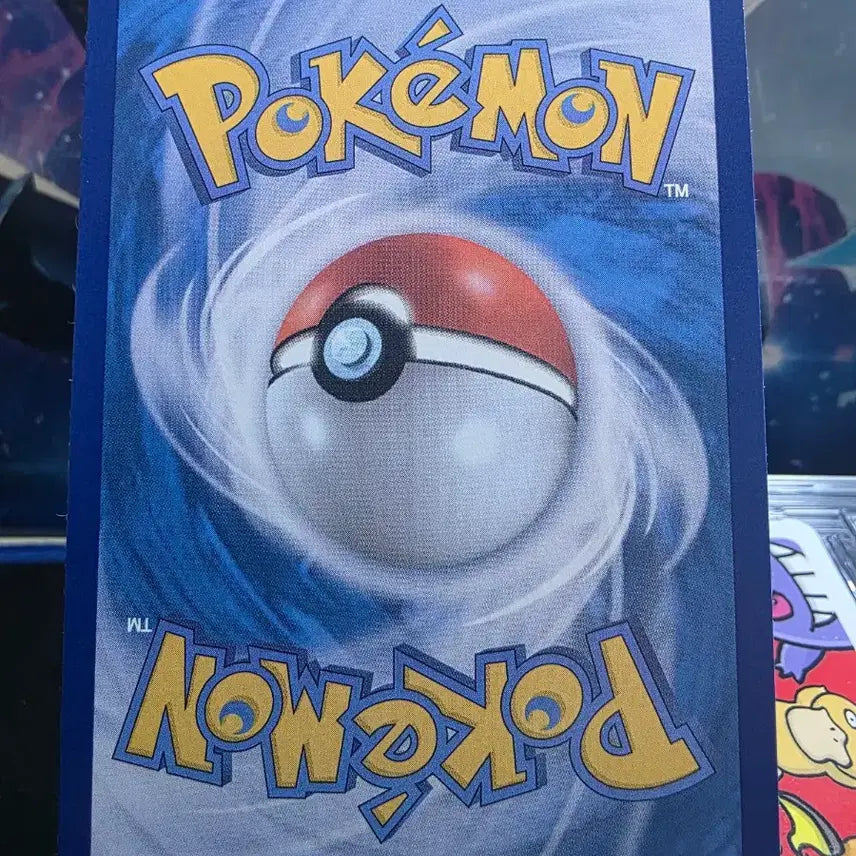 [BUNJANG] Pokemon Card Monster Ball Nut / 포켓몬카드 몬볼 너트령