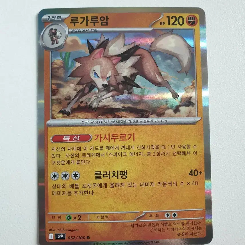 [BUNJANG] Lycanroc Pokemon Card / 루가루암 포켓몬카드