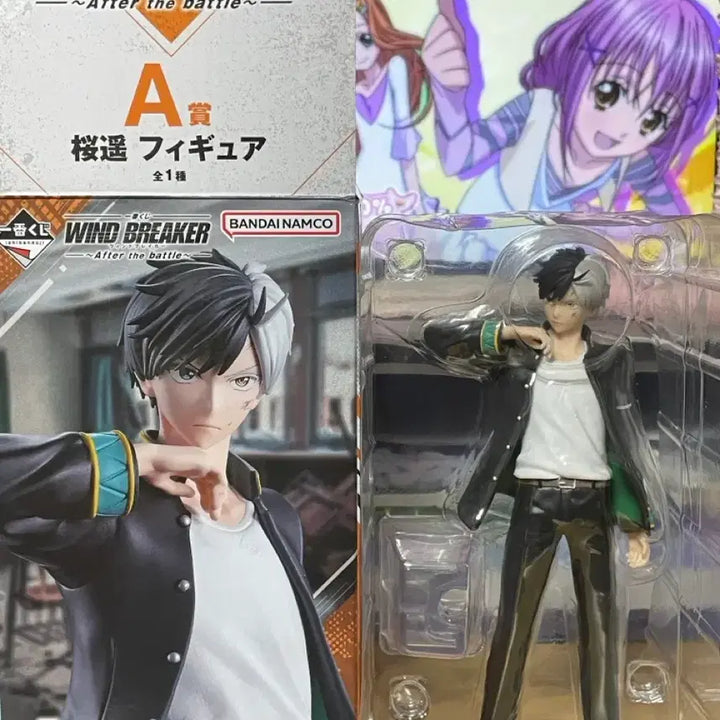[BUNJANG] Winbre Sakura Haruka A Prize Figure / 윈브레 사쿠라 하루카 A상 피규어 정리 처분 양도 급처