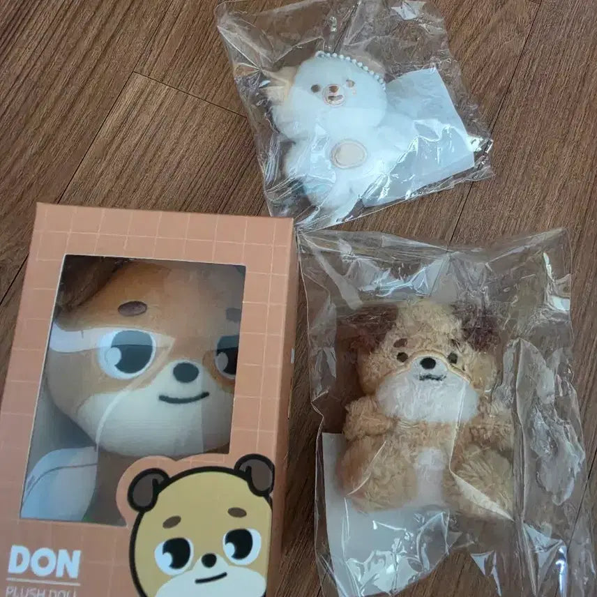 [BUNJANG] Day6 Dowoon Bundle Set (19 Money, Bbeu Bbeu Meol, Sitting Money) / 데이식스 도운 일괄 양도 (19돈, 쁘쁘멀, 앉은 돈)