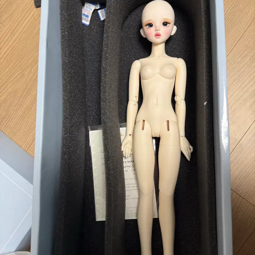 [BUNJANG] LinaLulu MSD Ball-Jointed Doll - White Skin (Tike Head) / 구관 구체관절인형 리나슈슈 미백 티케 msd