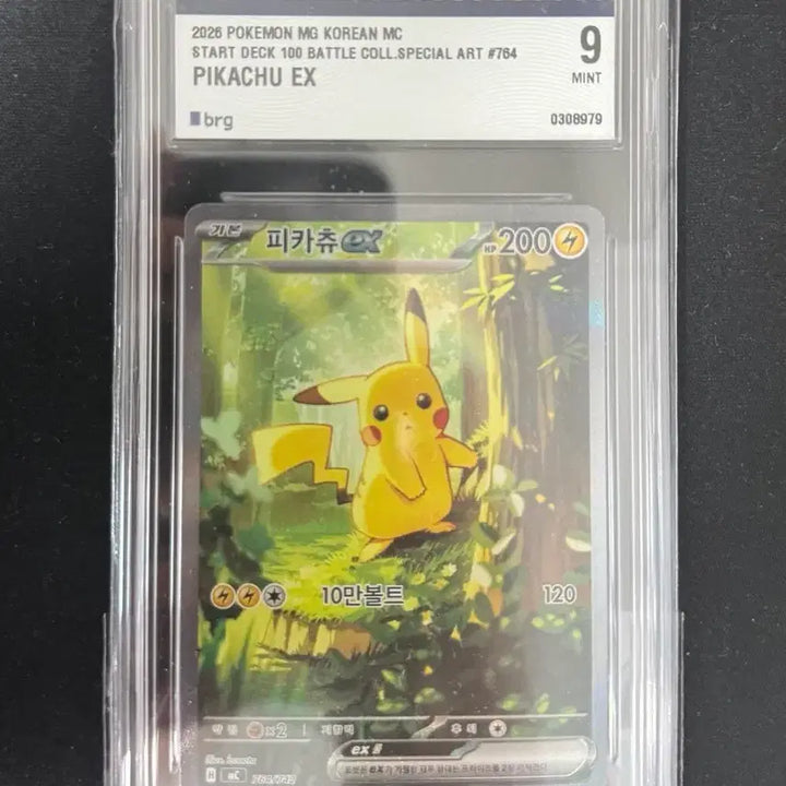 [BUNJANG] Pikachu &amp; Clefairy 100-Deck Bundle / 100덱 피카츄, 릴리에의 삐삐 brg9 판매