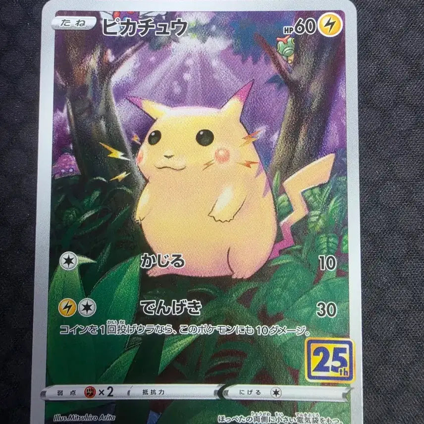 [BUNJANG] Pikachu 25th Anniversary &