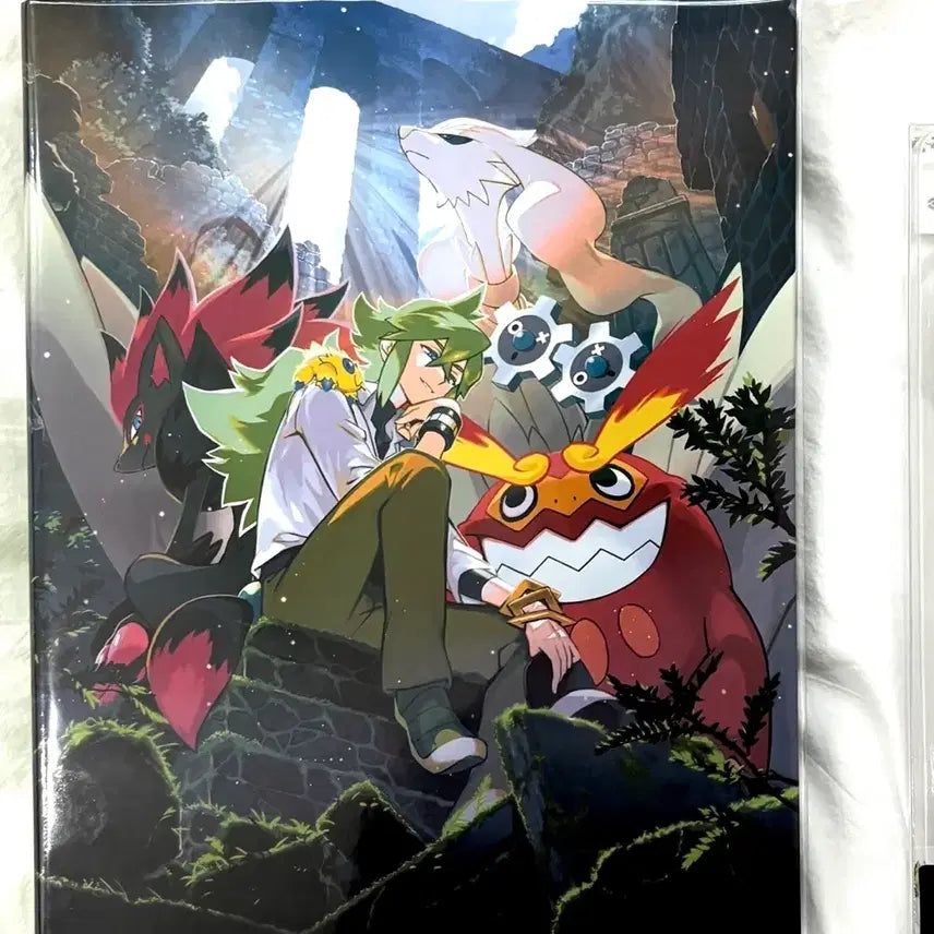 [BUNJANG] Pokemon Trainer Card Holder Binder Book / 포켓몬스터 포켓몬 N 스티커 트레이너 카드 홀더 바인더북