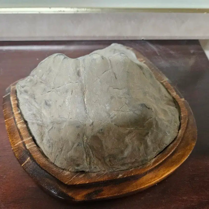 [BUNJANG] Natural Stone Mountain Scholar Rock / 자연석 산 모양 수석