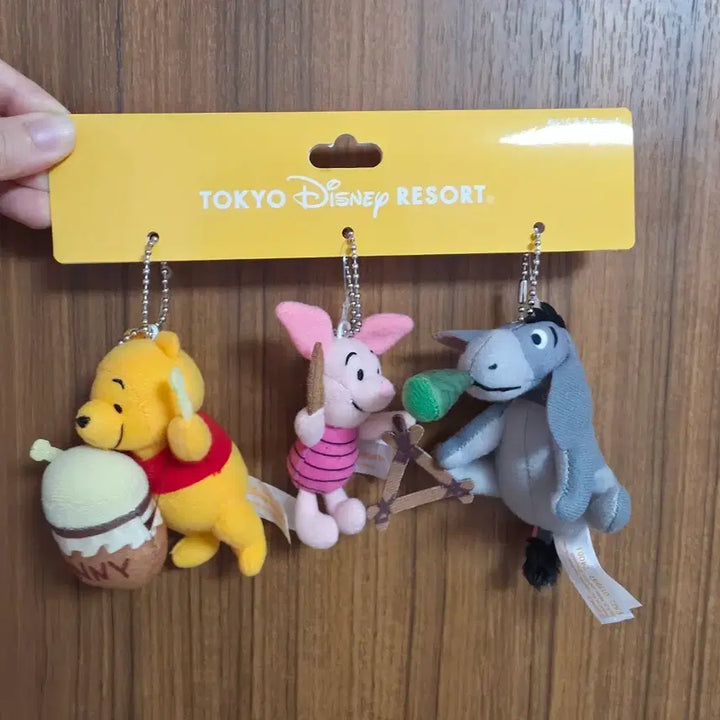 [BUNJANG] Tokyo Disneyland Winnie the Pooh Piglet Eeyore Keyring Set / 도쿄 디즈니랜드 푸우 피글렛 이요르 키링