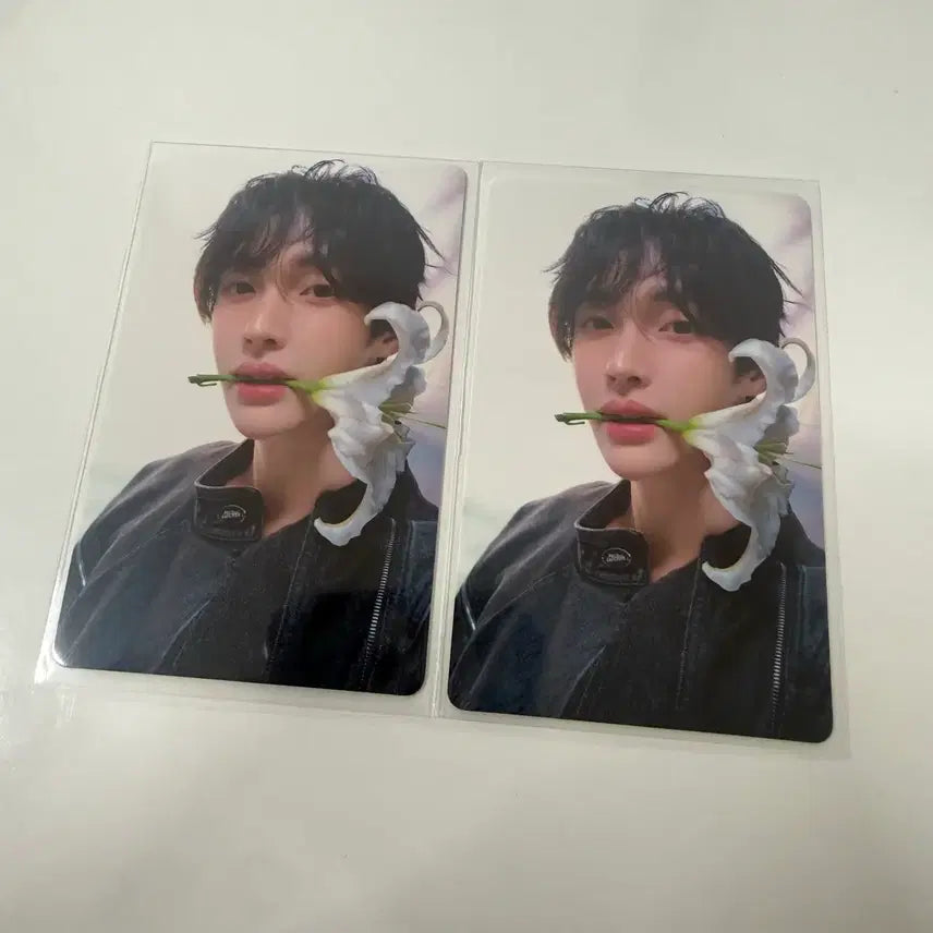 [BUNJANG] Won Bin Arena Homme Photocard / 아레나 옴므 원빈 포토카드 양도