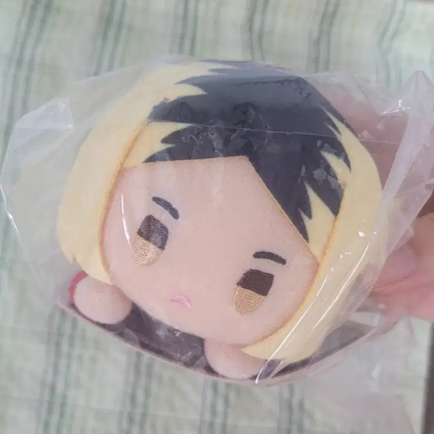 [BUNJANG] Haikyuu!! Kenma Kozume D Prize Plush Doll / 하이큐 켄마 쿠지 D상 인형 누이