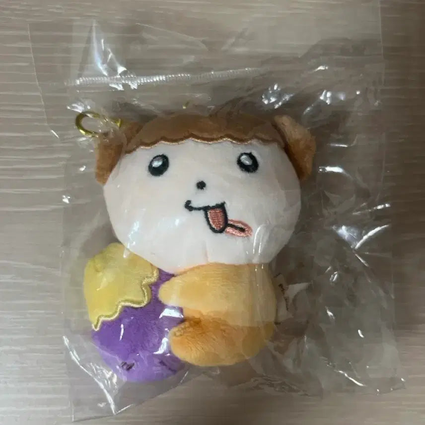 [BUNJANG] Maru is a Dog: Sealed Photocard Holder / 마루는 강쥐