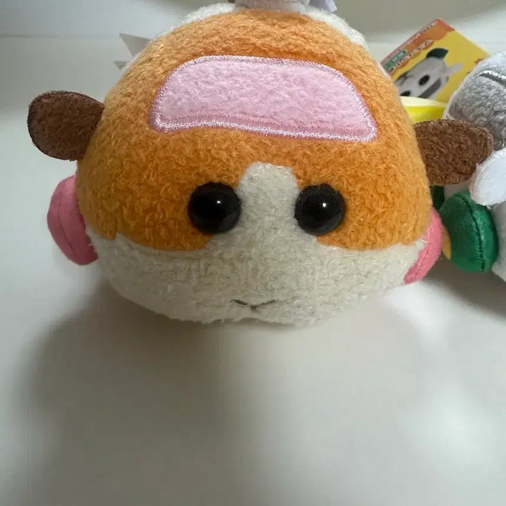 [BUNJANG] Moruka Mascot Mascot / 모루카 마스코트