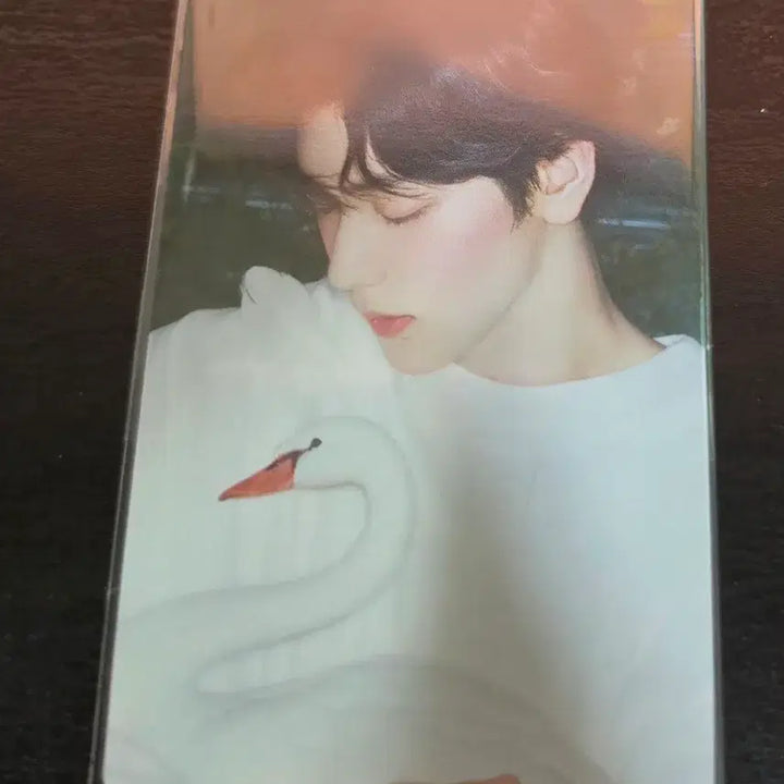 [BUNJANG] TXT Soobin Star Kissed Photocard Set / 투바투 수빈 스타키스드 포토카드 2종