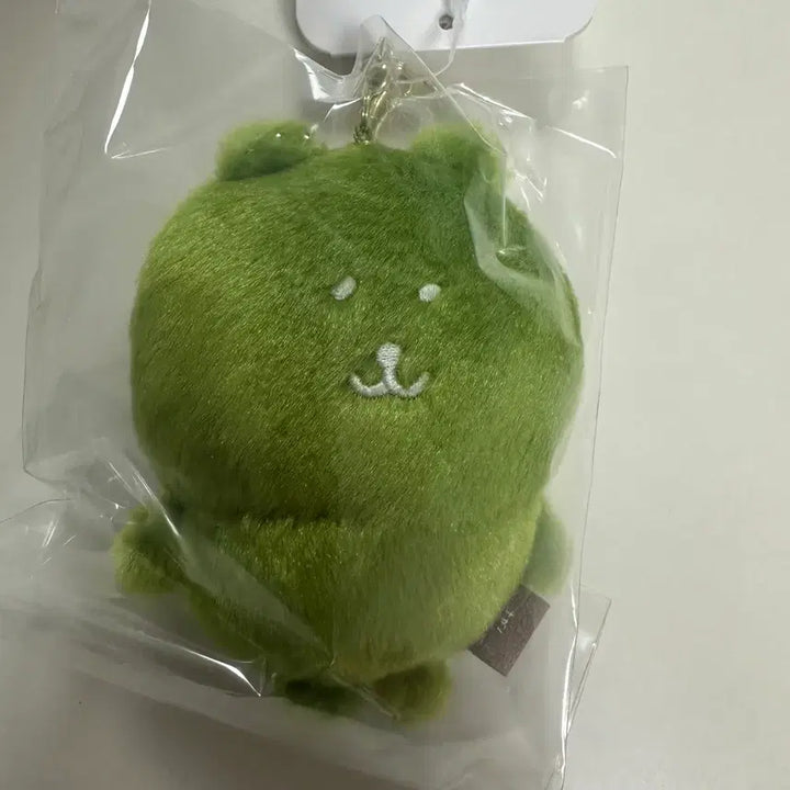 [BUNJANG] Matcha Joke Bear / 말차 농담곰