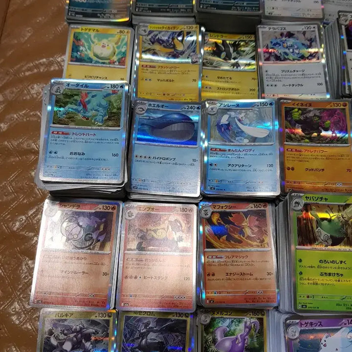 [BUNJANG] Japanese Pokemon Card Game Official Tournament Deck Bundle (5500 cards) / 일본판 포켓몬카드 게임 정식대회 덱 5500장 일괄