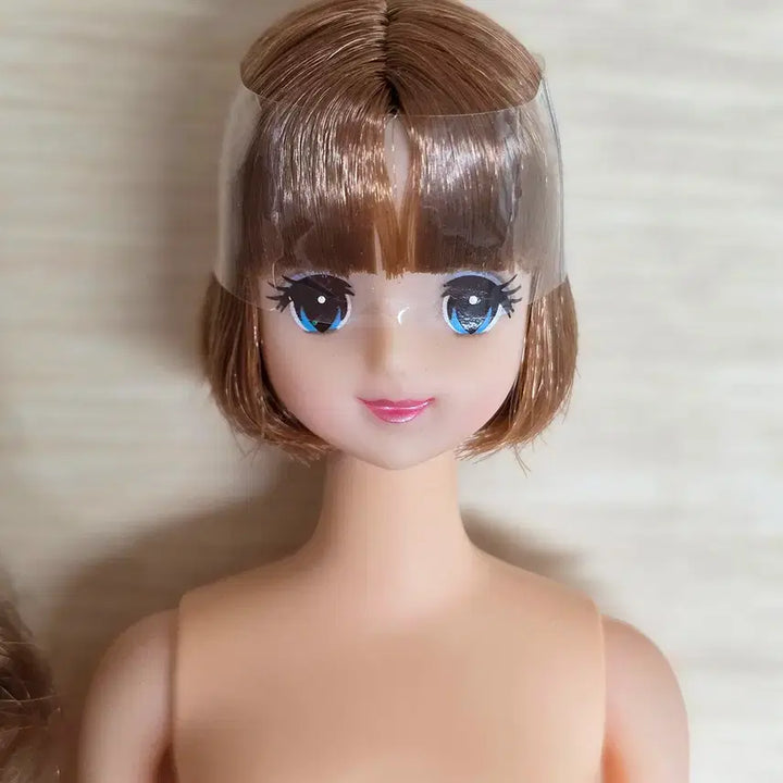 [BUNJANG] Licca Castle Jenny Friend Abel Dolls Set / licca castle 리카캐슬 제니프렌드 아벨 2체 일괄
