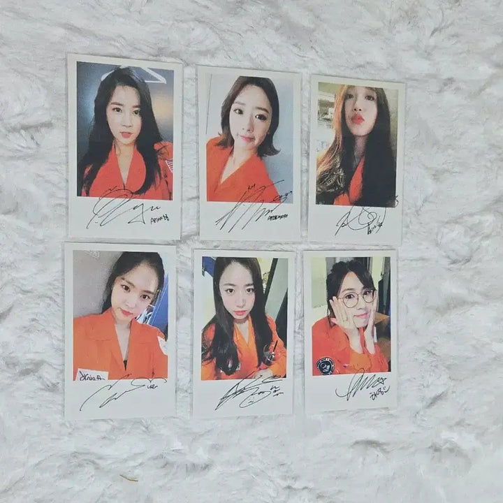 [BUNJANG] Apink Pink Space Concert DVD / [모든 멤버 포카 포함] Pink Space 콘서트 DVD