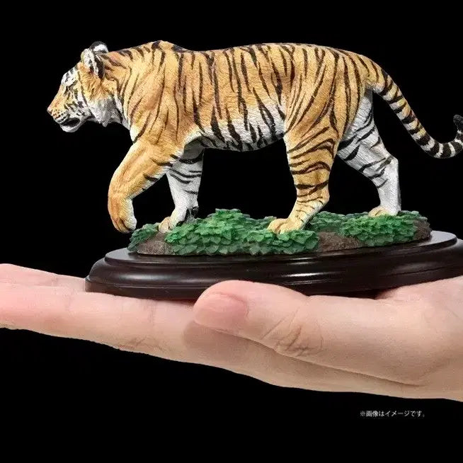[BUNJANG] Bandai Gashapon Wild Felines Bengal Tiger Snow Leopard Marul 3-Set / 반다이 생물대도감 컬렉션 야생 고양잇과 동물 뱅갈호랑이 눈표범 마눌 3종