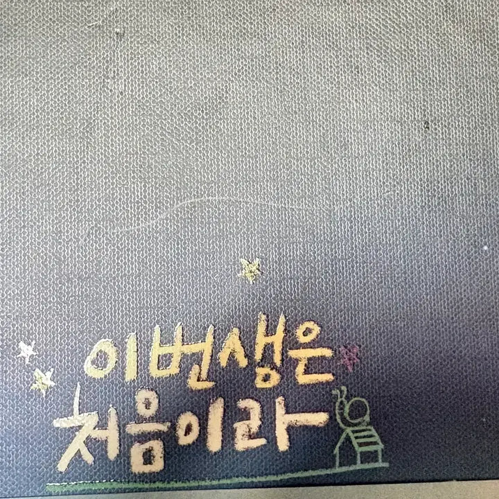 [BUNJANG] Because This Is My First Life Limited Edition DVD / 이번생은 처음이라 한정판 dvd 양도합니다
