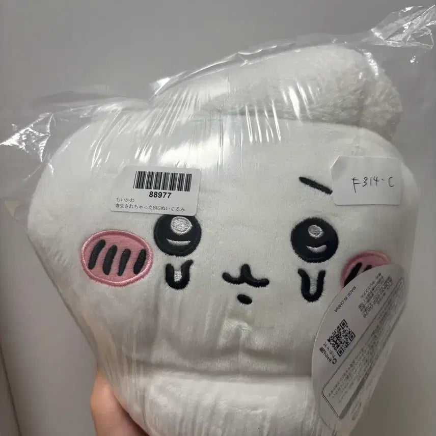 [BUNJANG] Chiikawa Parasitic Mushroom Plush / 기생버섯 치이카와 BIG 누이