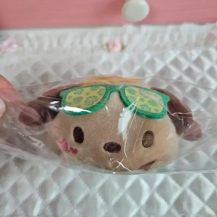 [BUNJANG] Sanrio Pochacco Face Mochi Plush / (일본정품) 포차코 얼굴 모찌 인형