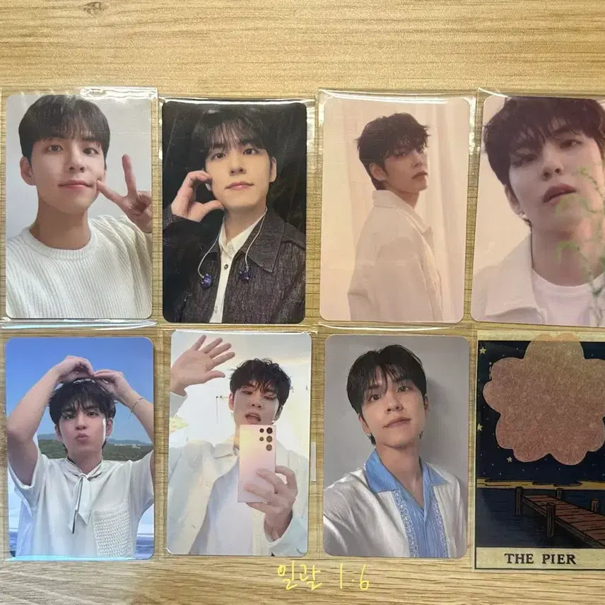 [BUNJANG] DAY6 Wonpil Pier 10 Collection Photocard Bundle / 데이식스 원필 피어텐 4만원 입장 포카 트레카 일괄 pier10 컨페티