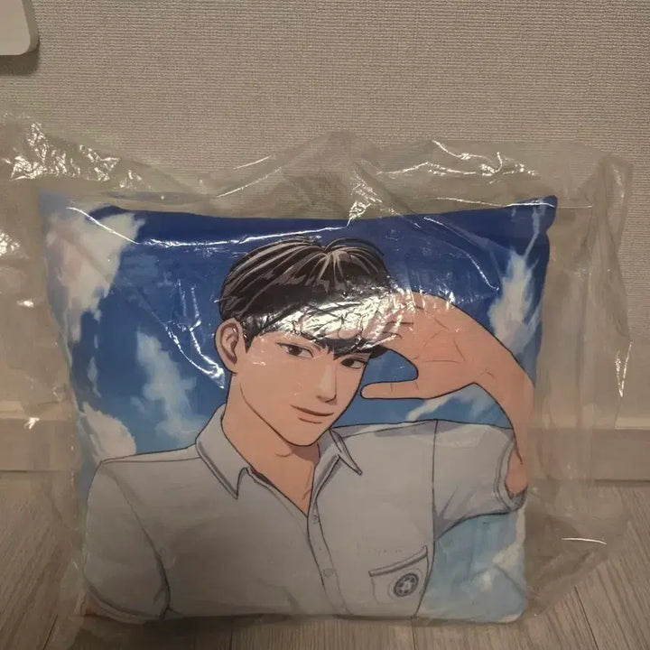 [BUNJANG] PLAVE Hamin Soft Cushion / 플레이브 하민 말랑 쿠션