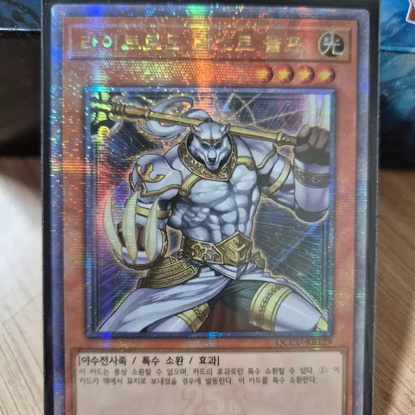 [BUNJANG] Yu-Gi-Oh! Lightsworn Beast Wolf QC Secret Rare / 유희왕 라이트로드 비스트 울프 QC 시크릿레어