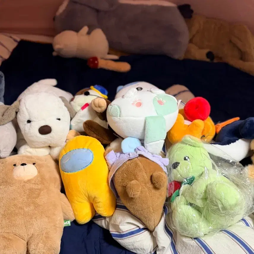 [BUNJANG] Mongtta Doll Bundle / 인형 몽따 팔아요 대량 업체환영