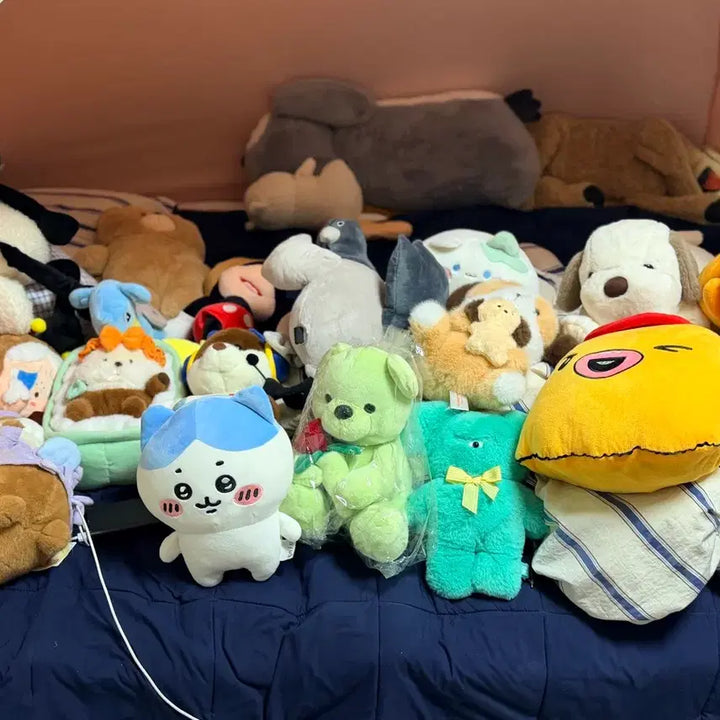 [BUNJANG] Mongtta Doll Bundle / 인형 몽따 팔아요 대량 업체환영
