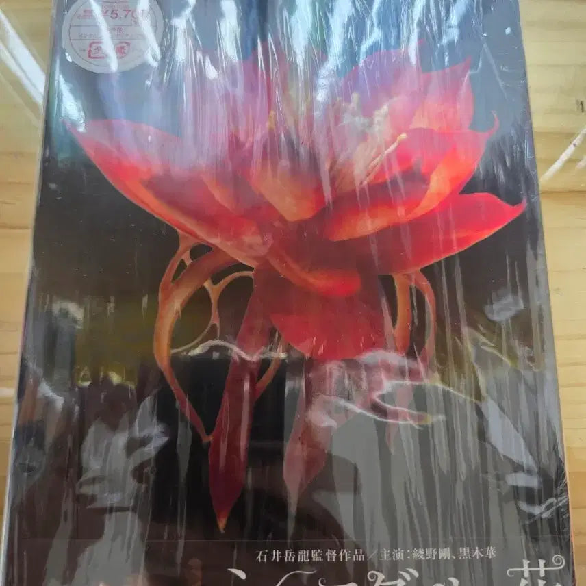 [BUNJANG] Ayano Go Shanidar&