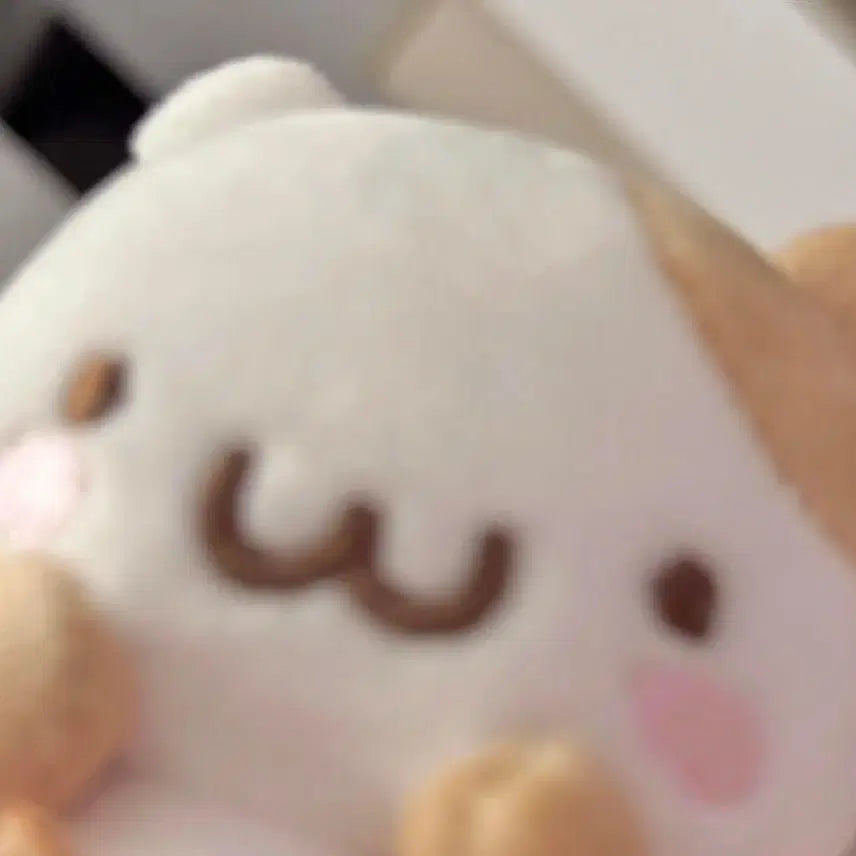 [BUNJANG] N/A / 판매완료