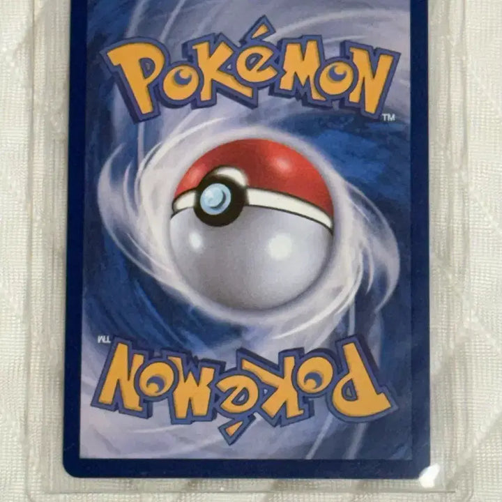 [BUNJANG] Pokemon Card "Gladion&