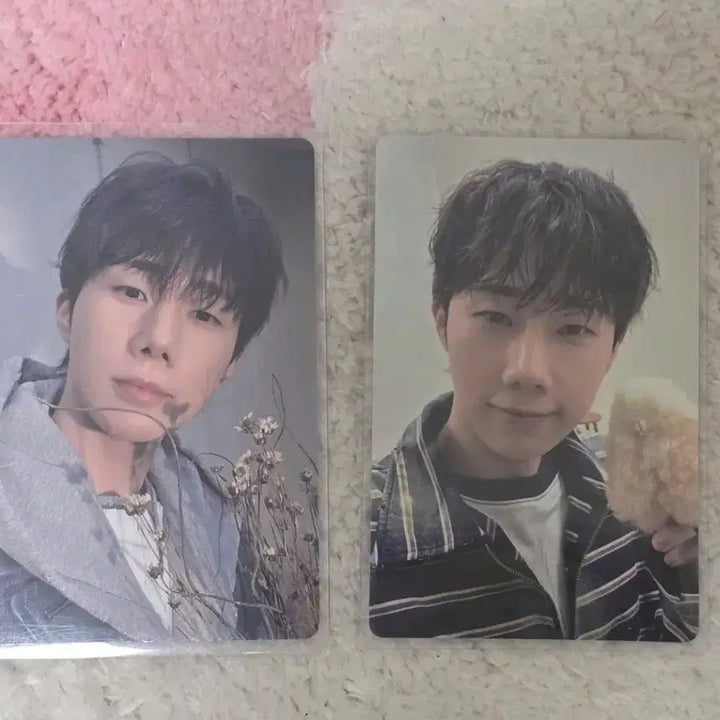 [BUNJANG] INFINITE Kim Sung-kyu Sungkyu Photocard / 인피니트 김성규 성규 포토카드 포카