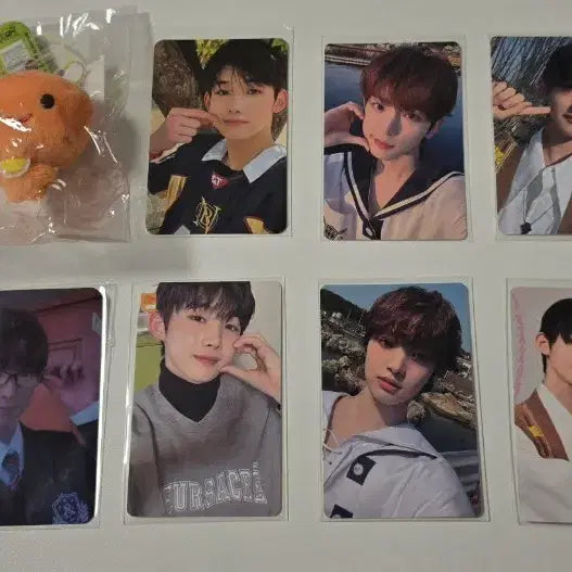 [BUNJANG] ENHYPEN Sunoo Ni-ki Jungwon Heeseung Jay Jake Sunghoon Photocard Bundle Set / 앤팀 의주 팟칭의주 죠 조 하루아 포카 미캉보우야 인형 키링 일괄 판매