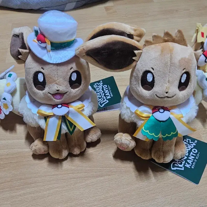 [BUNJANG] Pokemon Center Osaka Limited Edition Eevee Medium Plush Couple Set / 포케파크 간토 한정판 이브이 중형 인형 커플