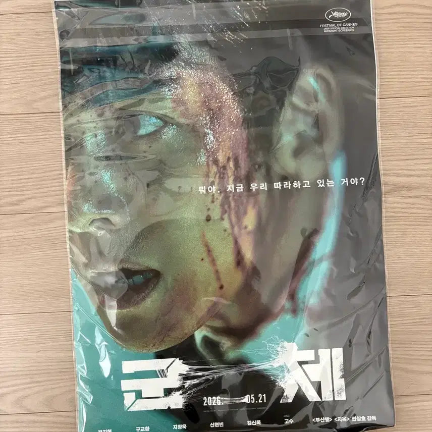 [BUNJANG] The Roundup: Punishment Ji Chang-wook Movie Poster / 영화 군체 포스터