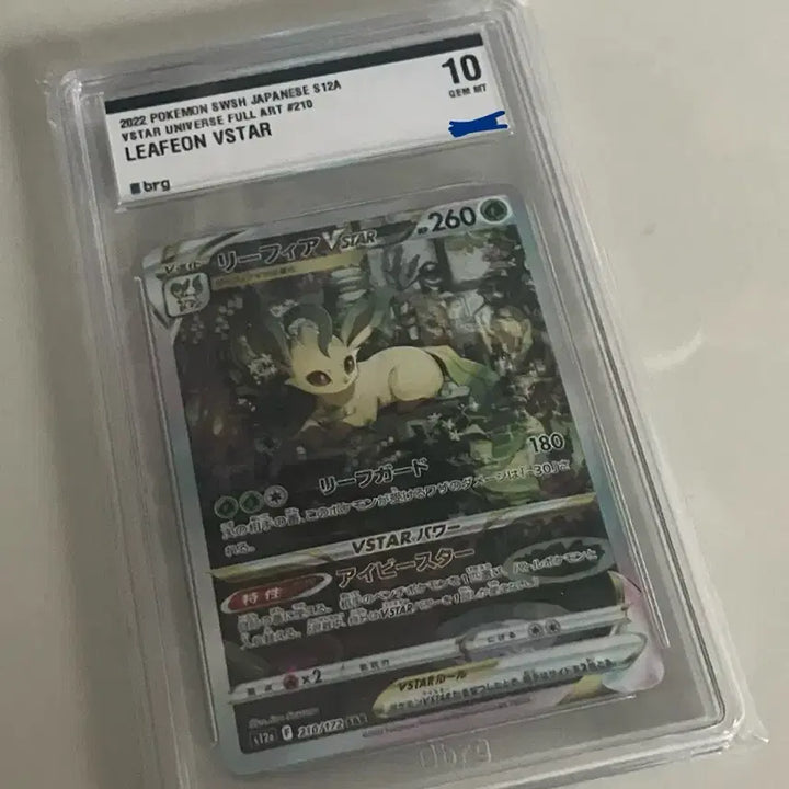 [BUNJANG] Lippia VSTAR SAR BRG 10 / 일판 리피아 vstar sar brg10