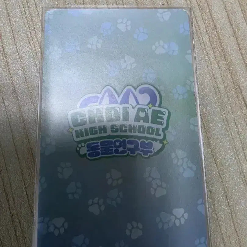 [BUNJANG] Yangaji Animal Research Dept. Photocard / 양아지 동물연구부 포토카드판매합니다
