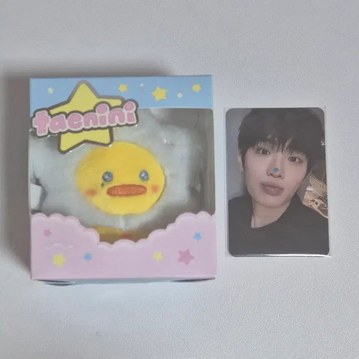 [BUNJANG] ZB1 Kim Taerae Zeroni Photocard / 제베원 김태래 제로니 태니니 별태니니 별제로니 양도