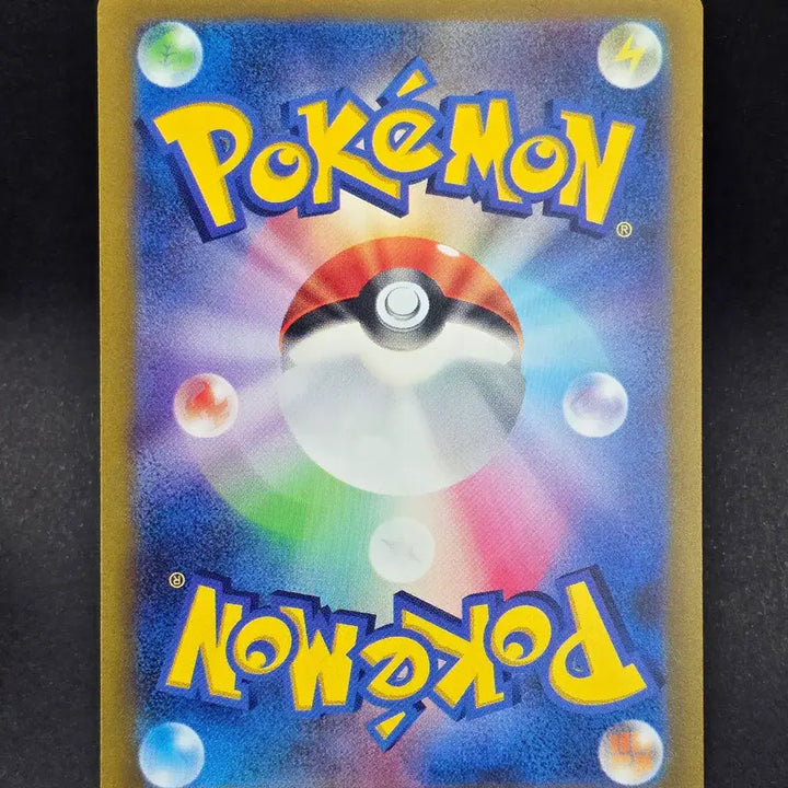 [BUNJANG] Japanese Pokemon Card Hisuian Neighbors SR / 일판 포켓몬카드 신오의 동료들 SR