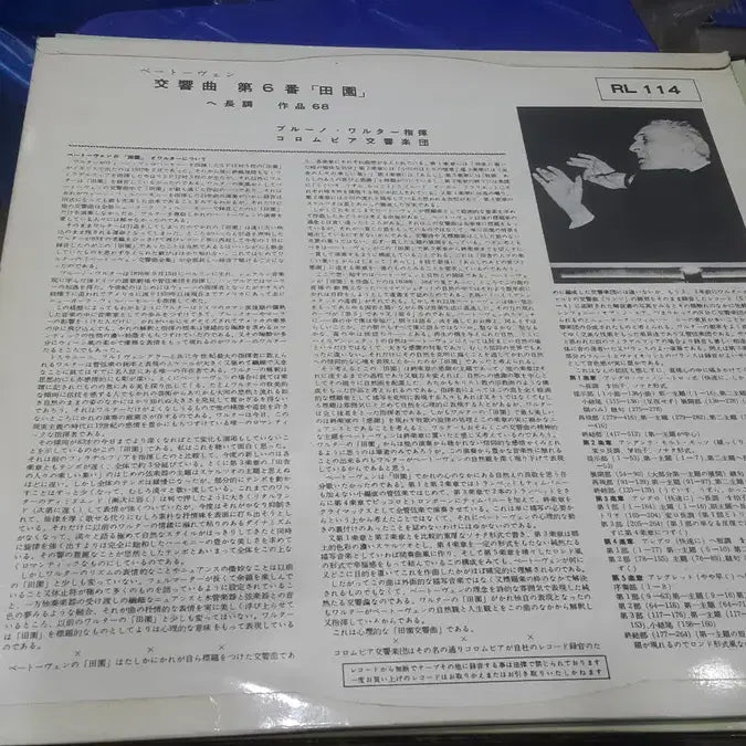 [BUNJANG] Bruno Walter Beethoven Symphony No. 6 LP / 엘피 - 클래식/부르노 발터, 베토번 6번