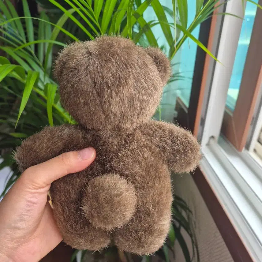 [BUNJANG] Vintage Teddy Bear / 빈티지 곰인형