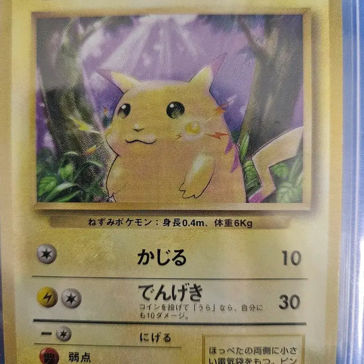 [BUNJANG] Pokemon Card Pikachu 1996 1st Edition Japanese / 포켓몬 카드 1996 피카츄 초판 일판