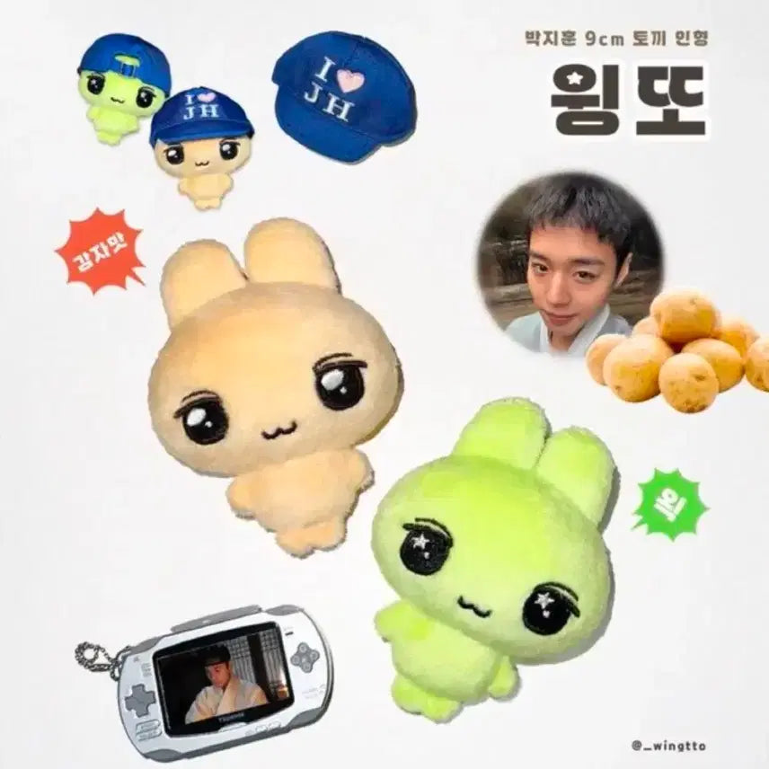 [BUNJANG] Park Ji-hoon Wingtto Plush Doll / (현물)박지훈 윙또 왹윙또 비공식 굿즈 인형 양도합니다