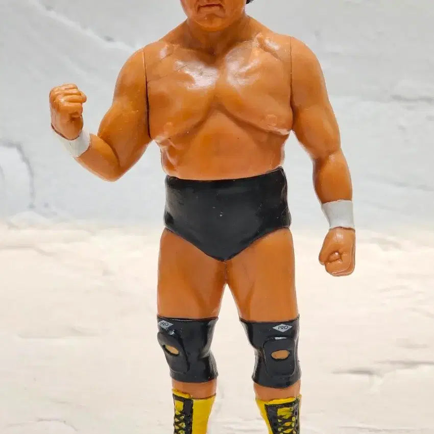 [BUNJANG] Tenryu Genichiro Japanese Pro-Wrestling Figure / 일본 프로레슬링 피규어 텐류 겐이치로