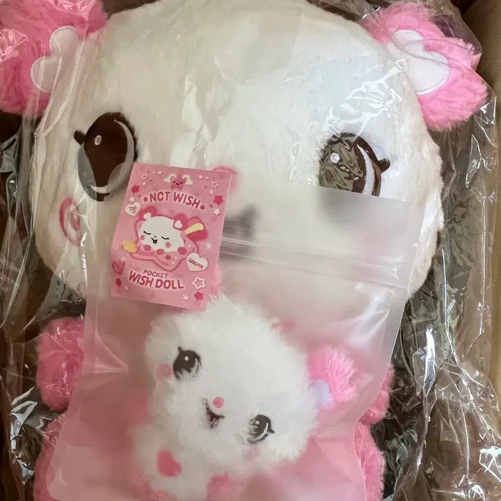 [BUNJANG] Pang Doll 30cm &amp; Pang Pocket Doll Bundle Set (Sealed) / 팡이 30cm, 팡이 포켓돌 미개봉 일괄