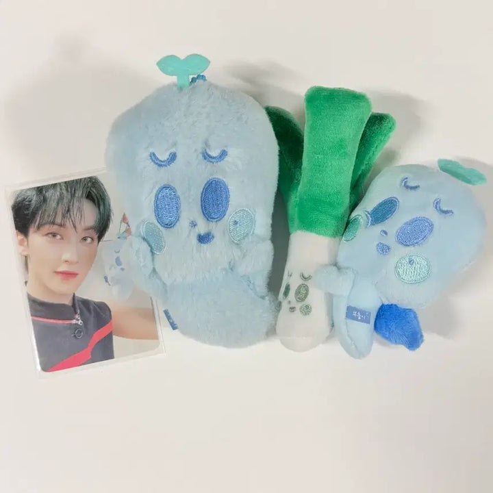 [BUNJANG] NCT Mark Boohunggi Leek Bundle Set / 엔시티 드림 마크 부훙이 대파 세트 포카포함 nct dream