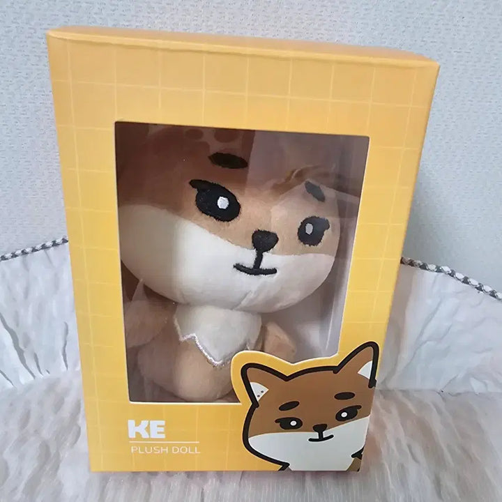 [BUNJANG] Day6 Young K 24 Denimz Doll / (단순개봉)데이식스 24데니멀즈 KE 영케이 인형 박스포함
