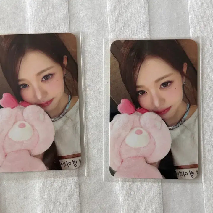 [BUNJANG] IVE Everland Entrance Photocard Jang Wonyoung / 에버랜드 아이브 ive everland 입장포카 장원영 포카 포토카드