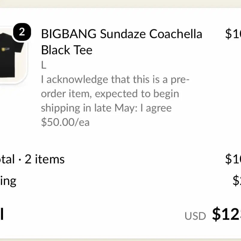 [BUNJANG] BIGBANG Coachella T-Shirt Black L / 빅뱅 선데이즈 코첼라 티셔츠 블랙 L