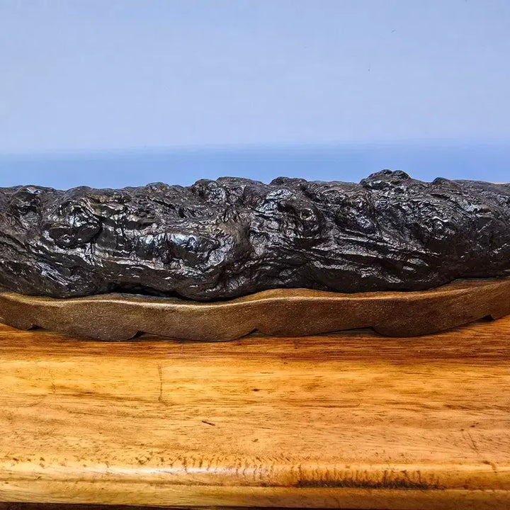 [BUNJANG] Namhan River Choco Stone Art Stone / 26070701 주름 변화가 환상적인 남한강 초코석 작품석 수석 팝니다
